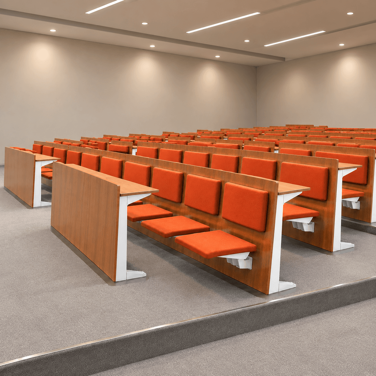Auditorium Seating